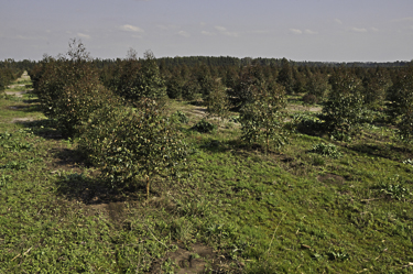 _DSC0031-2