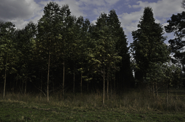 _DSC0125-2