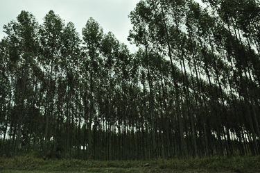 _DSC0221-2