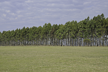 _DSC0396-2