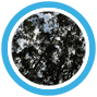 especies-grandis